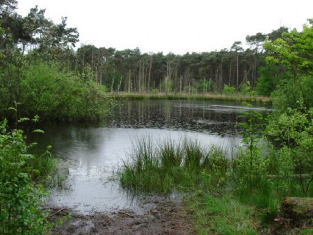 Withoefse Heide