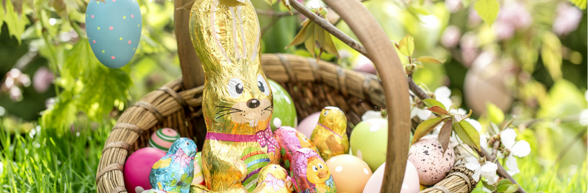 Image for gzbd activity