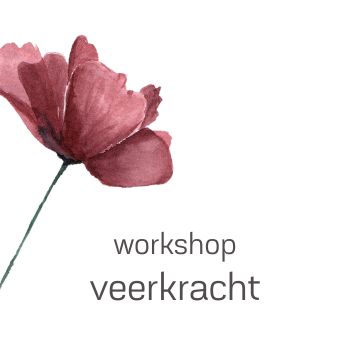 workshop bouwen aan veerkracht