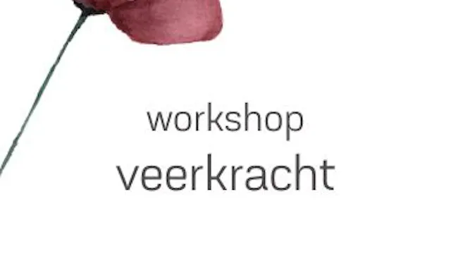 workshop bouwen aan veerkracht
