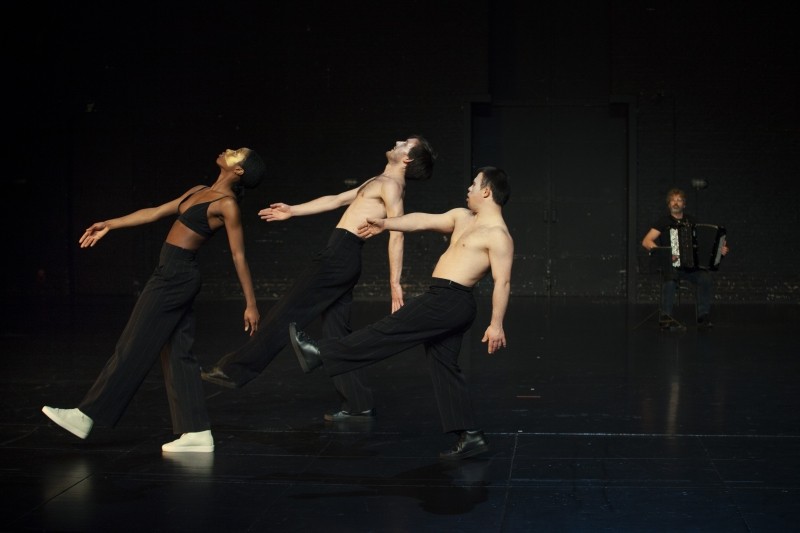 The Goldberg Variations