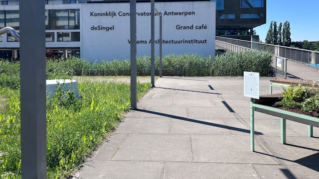 conservatorium antwerpen