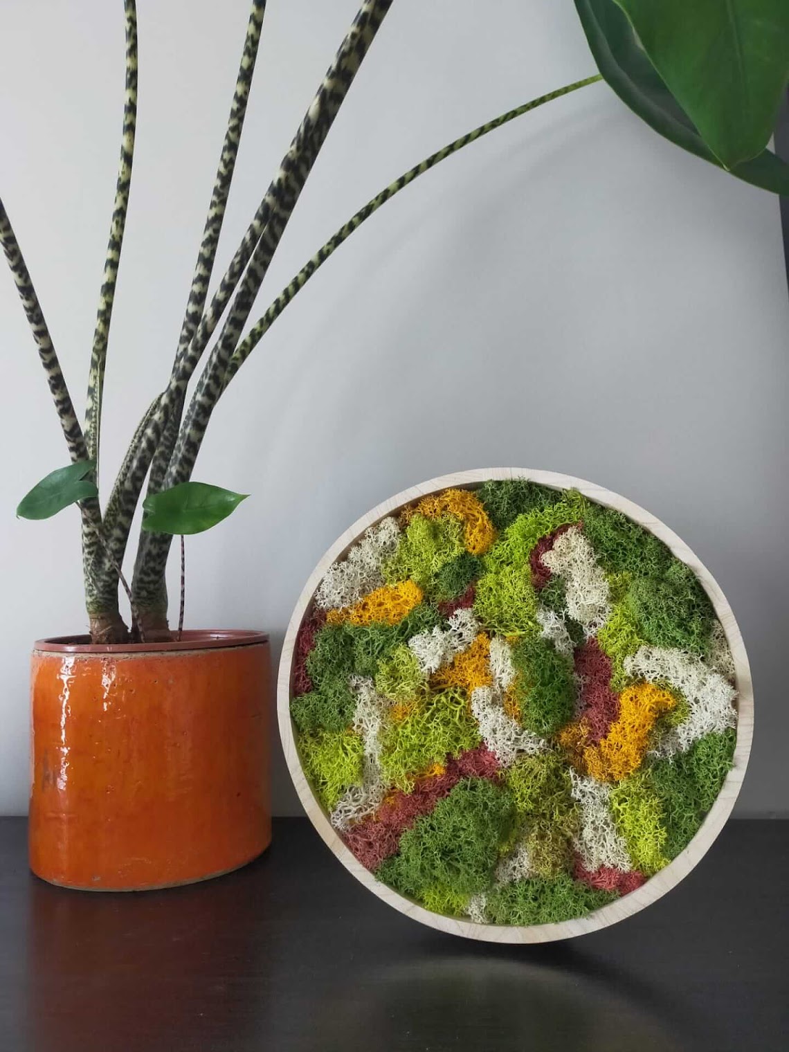 Workshop Moswand maken