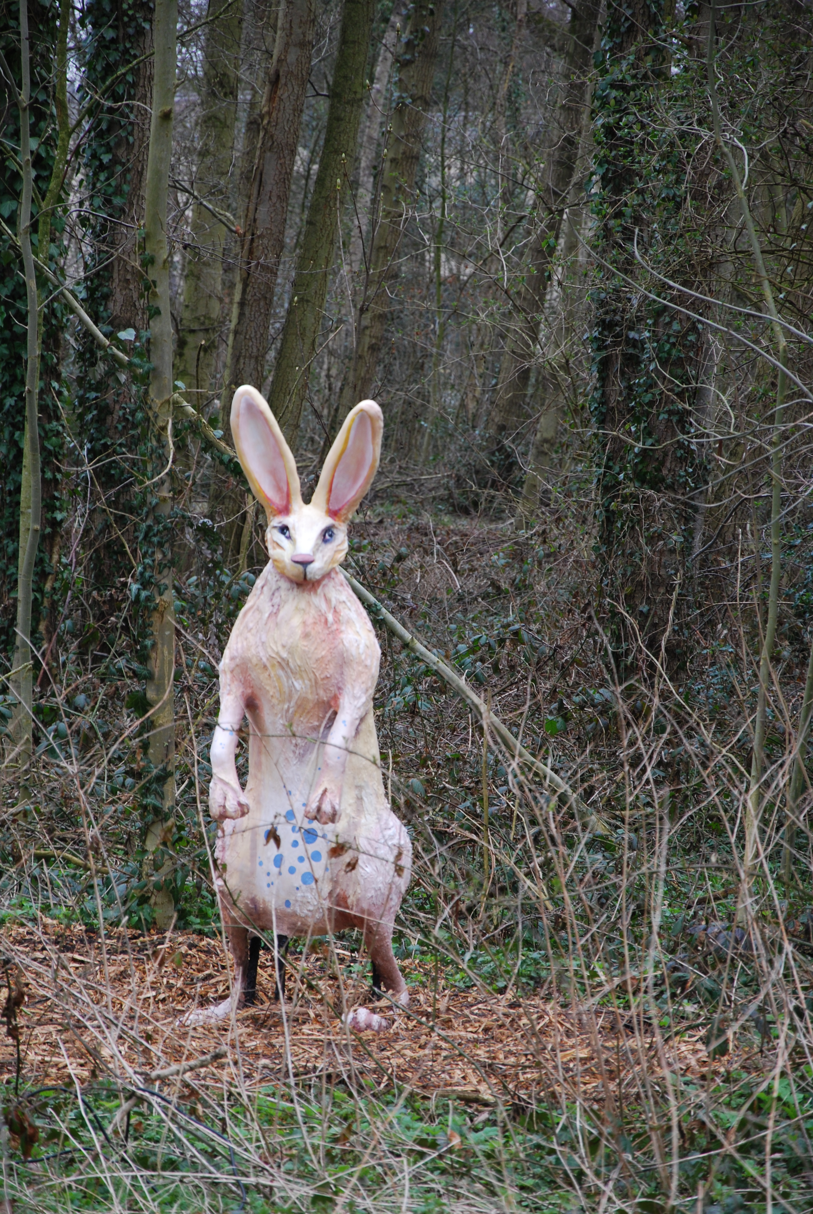 Verwelkoming door de Hazen