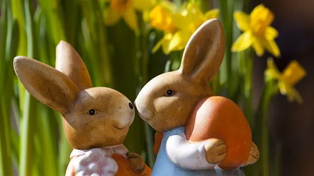 Image for gzbd activity