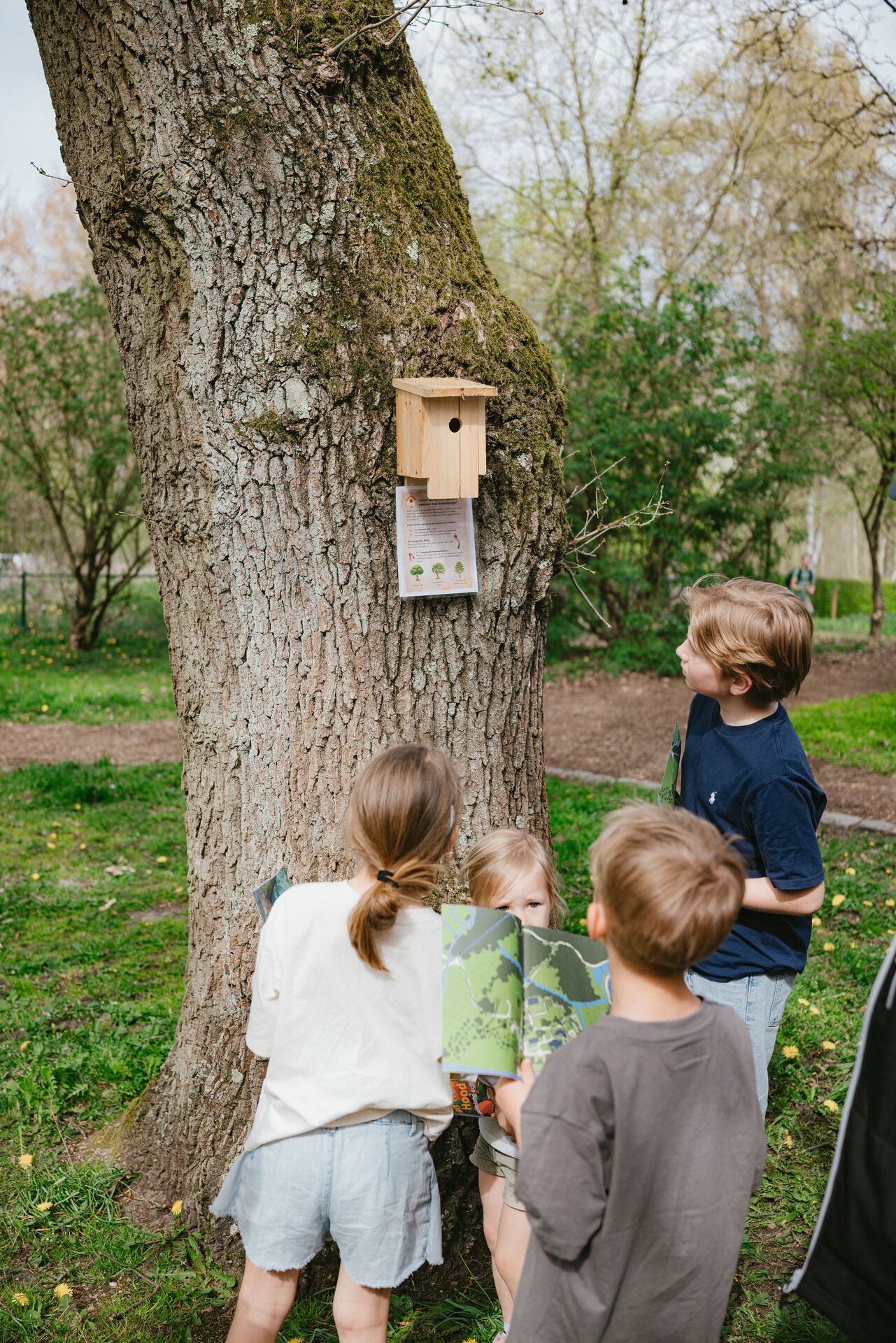 Schatten in het Heempark