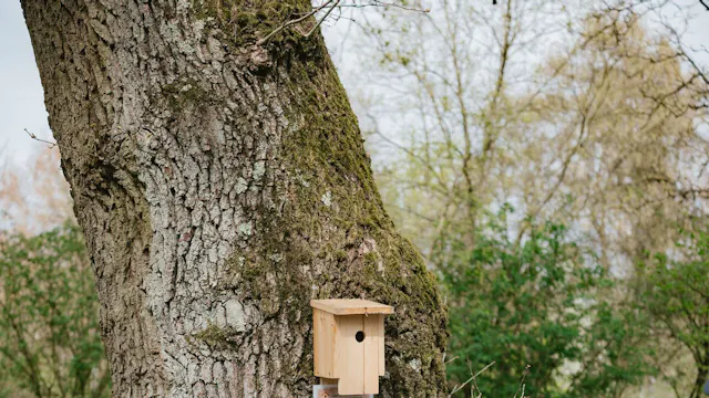 Schatten in het Heempark