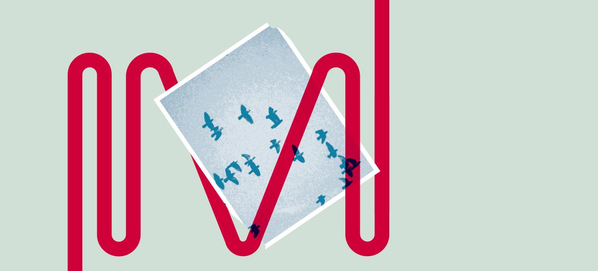 Migratiesalon: Generaciones Latinas