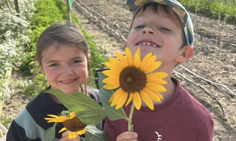 opening bio bloemen plukveld