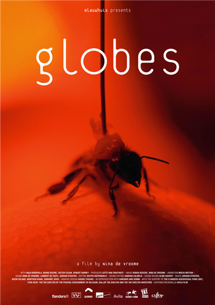 DocNights: Globes