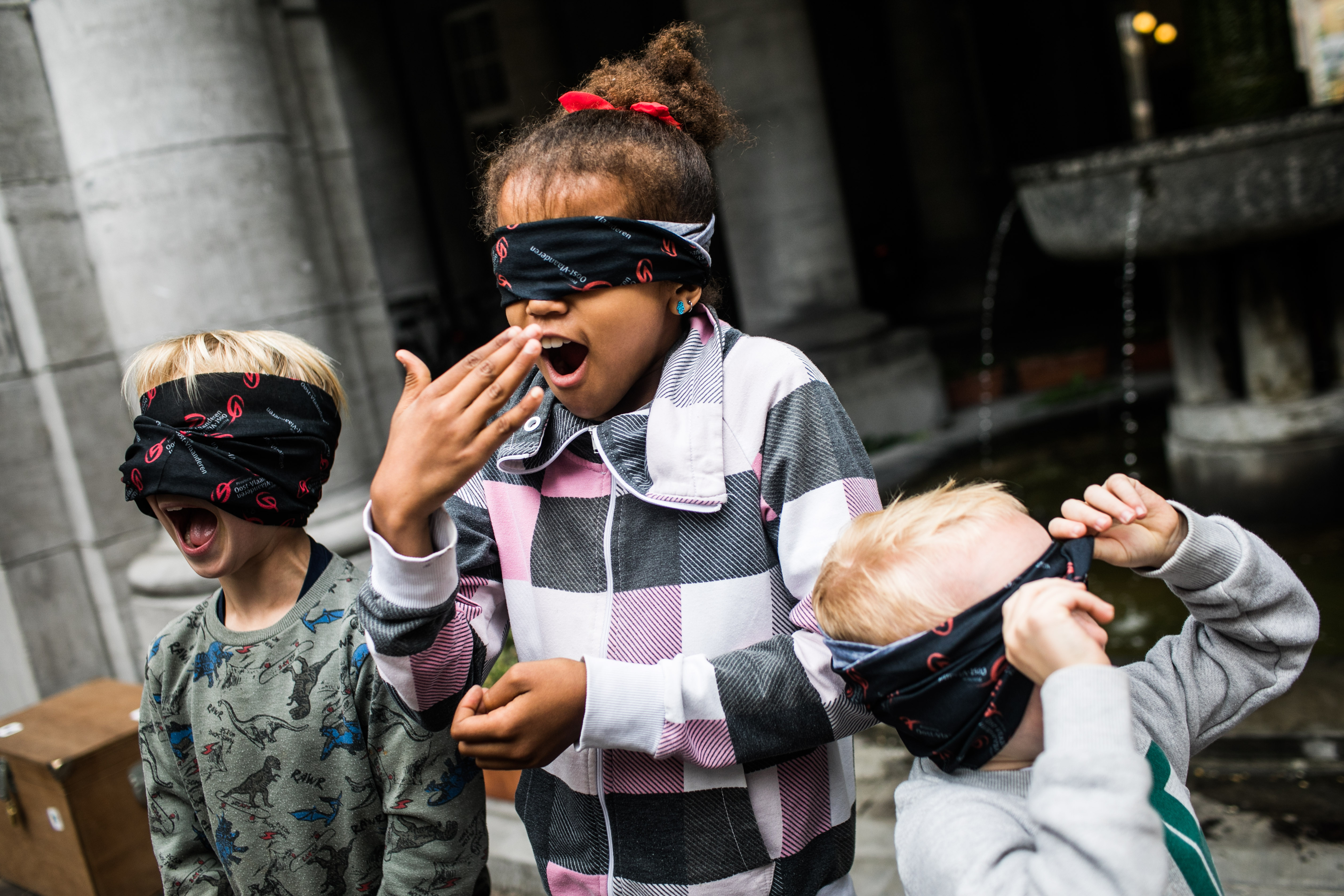 Schatten van Vlieg in het Provinciehuis in Gent