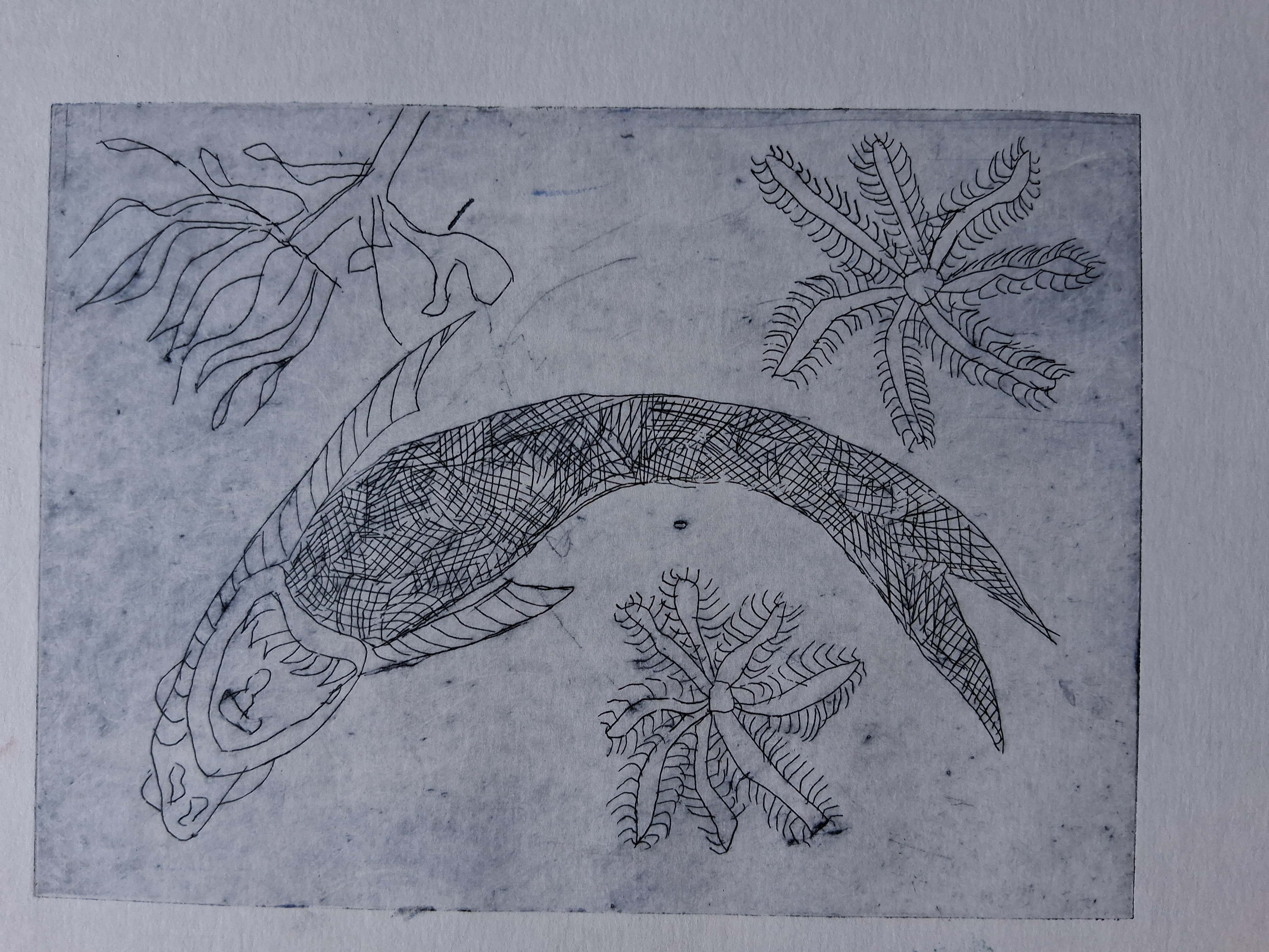 Onderwaterwereld - een van de vele versies van dit thema