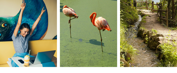 interactieve leziingen