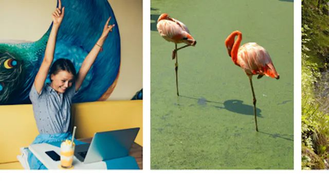 interactieve leziingen