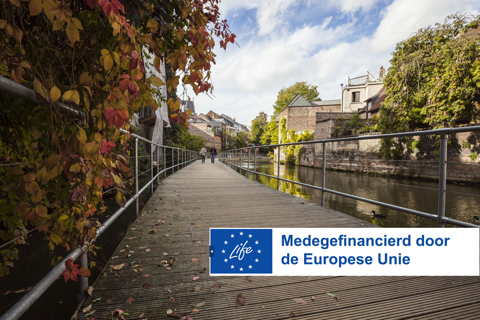 Dijlepad Mechelen herfst