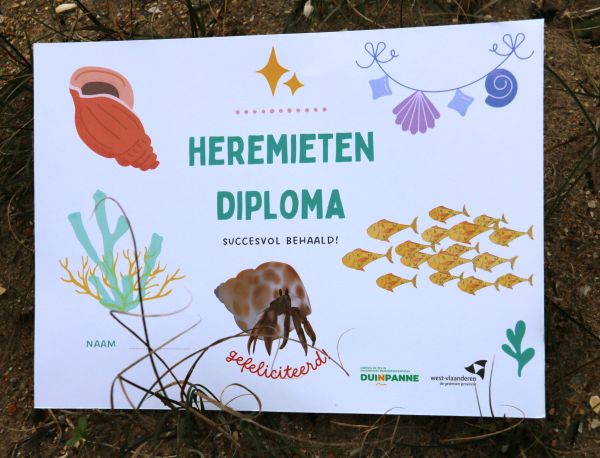 Ko de kreeft Heremietendiploma.JPG