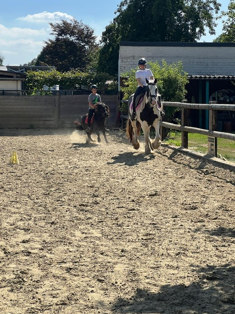 Een week, samen met paarden, ontdekken van jouw talenten en jouw valkuilen. En dit ... samen met jouw vriend: het paard!