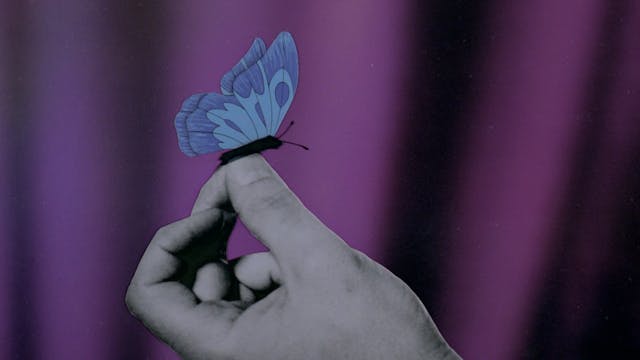 © Raoul Servais Collection