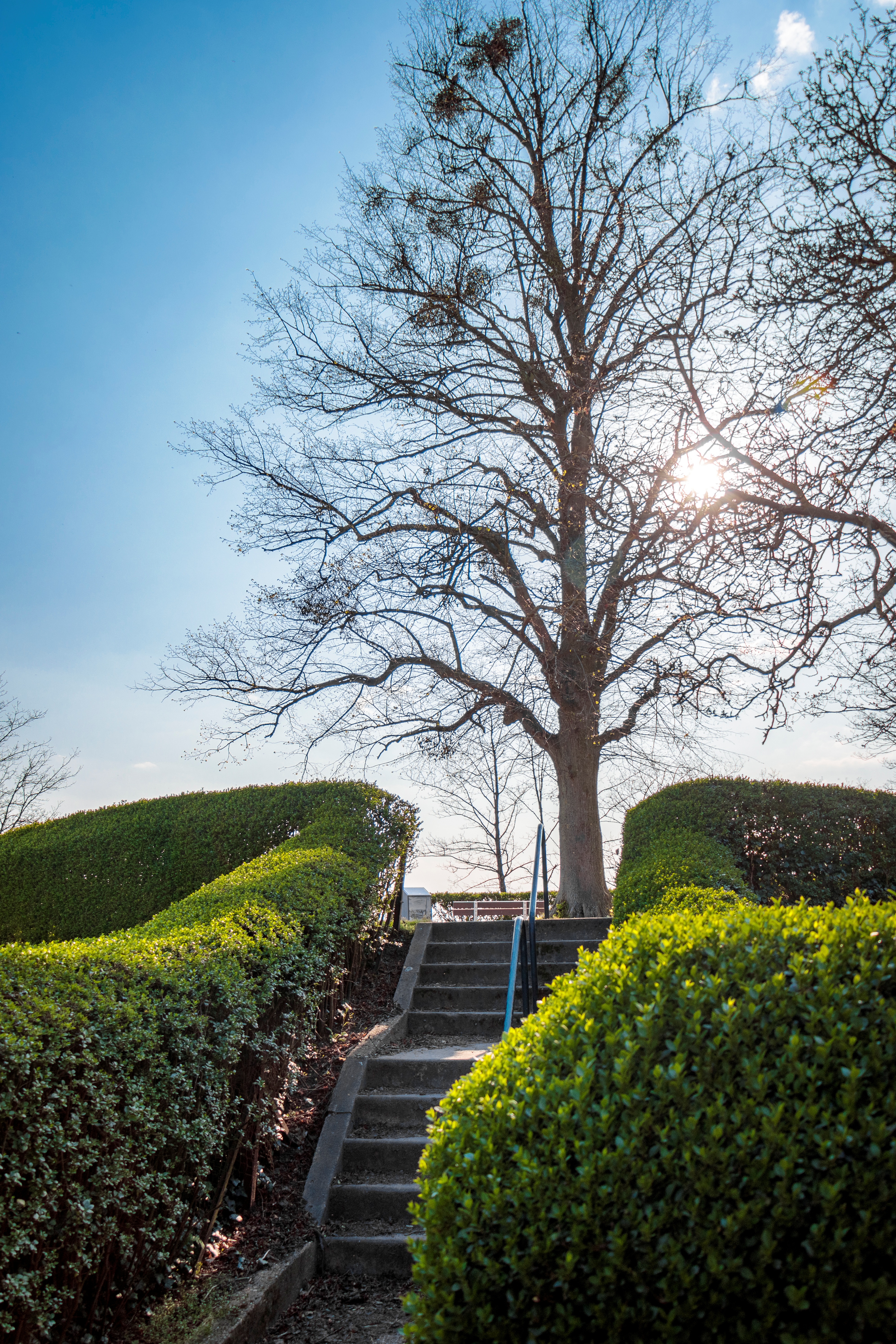Huidige burchtheuvel