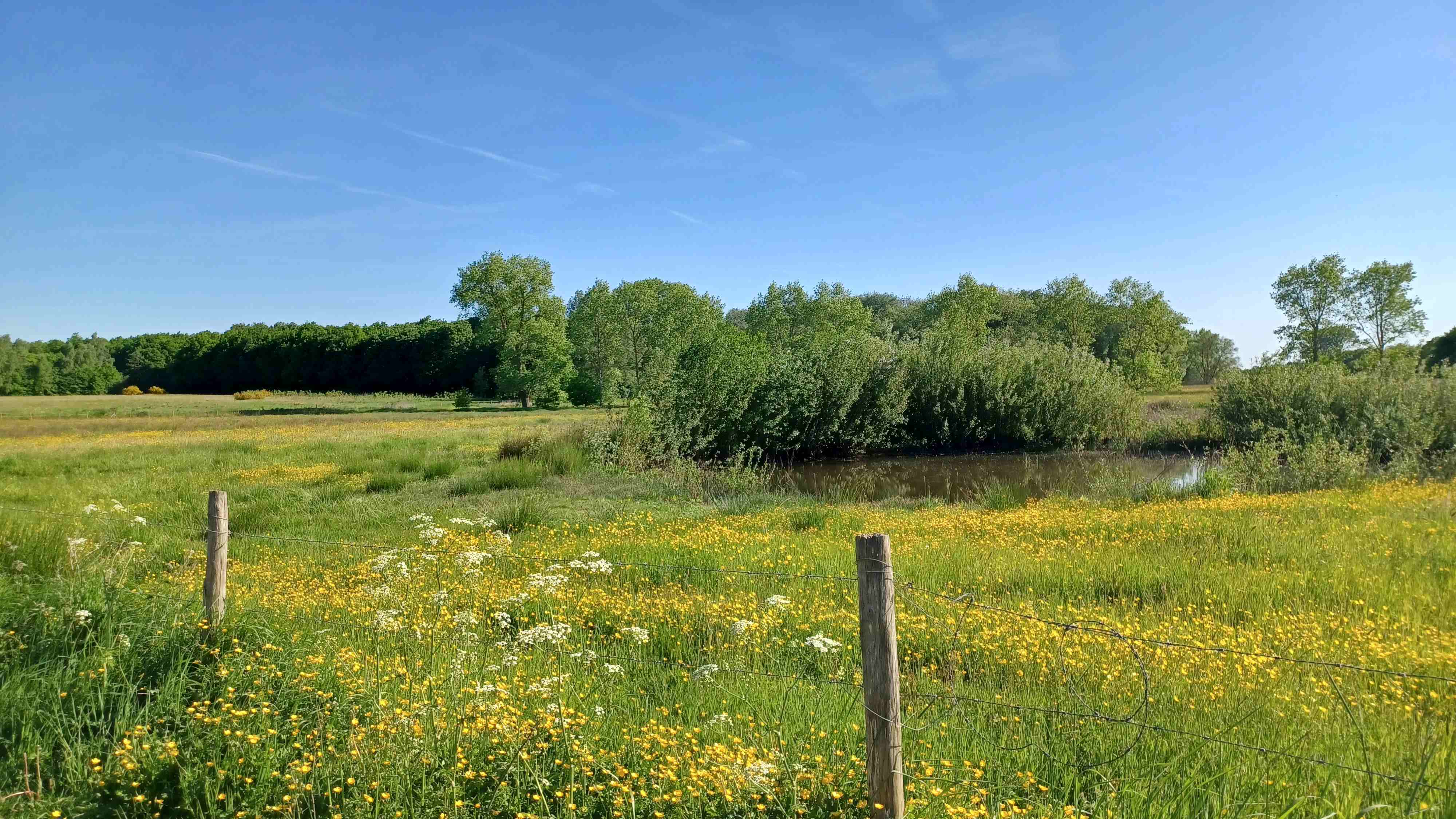 zicht op provinciedomein De Baliekouter