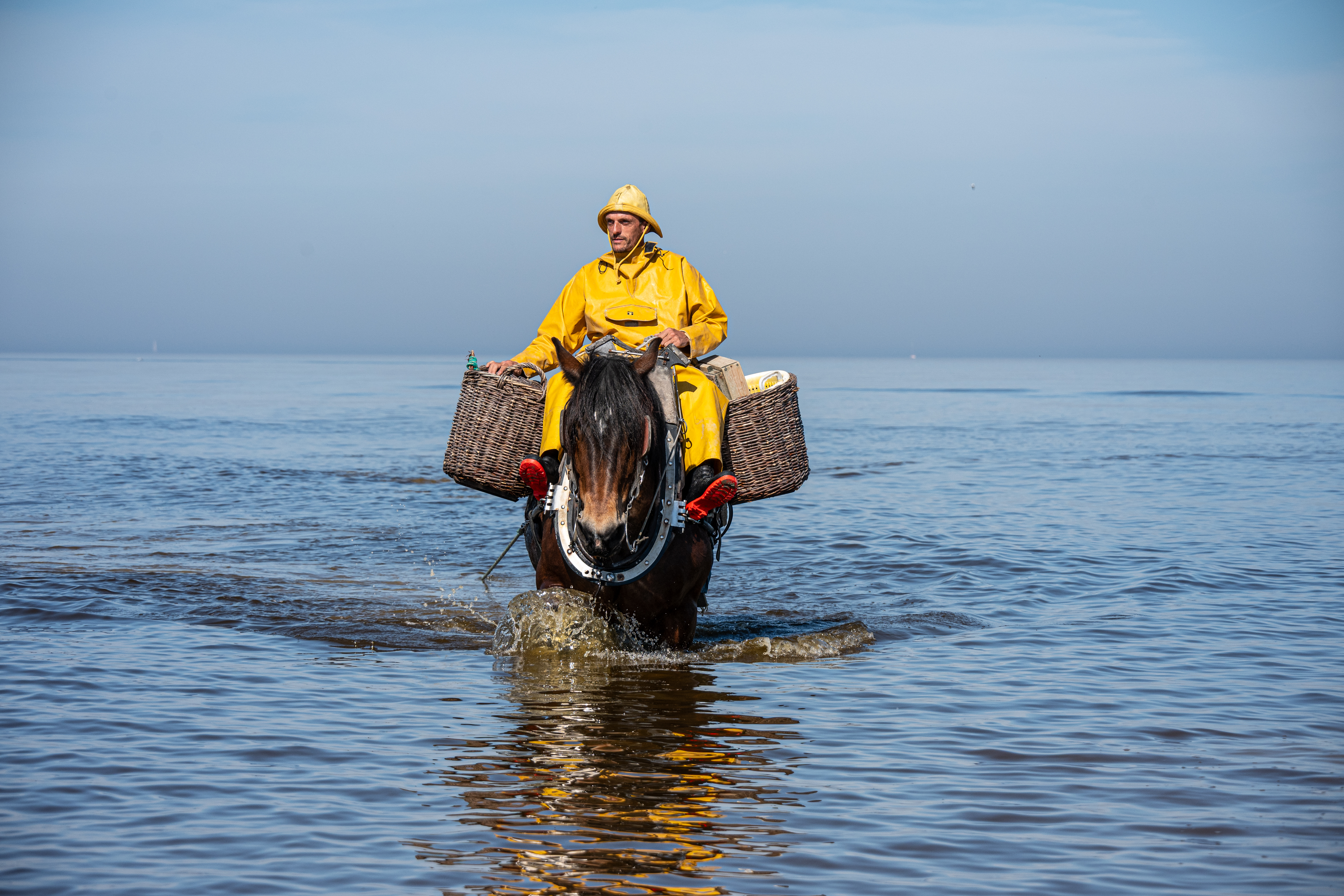 Garnaalvissers te paard