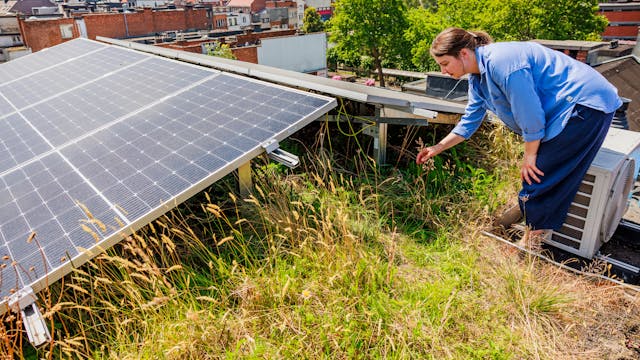 Vrouw bekijkt zonnepanelen op een groendak.