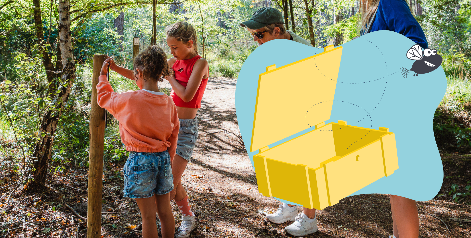 Schatten van Vlieg - Uilebos