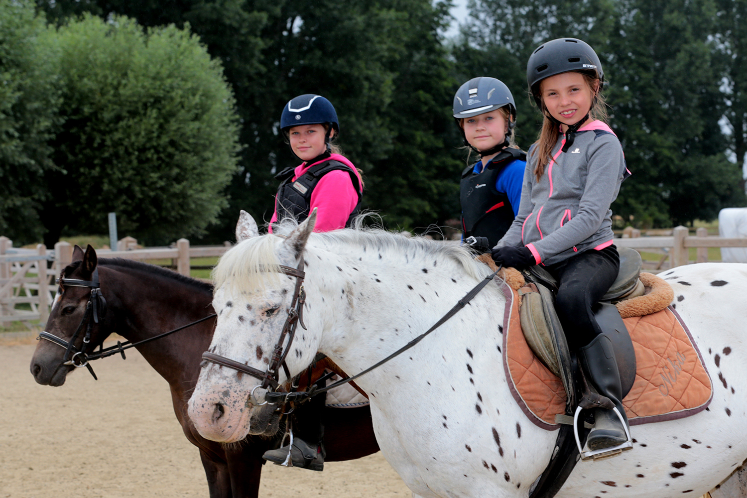 paardrijden merelbeke