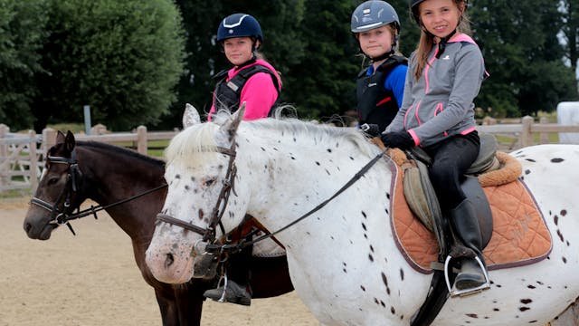 paardrijden merelbeke
