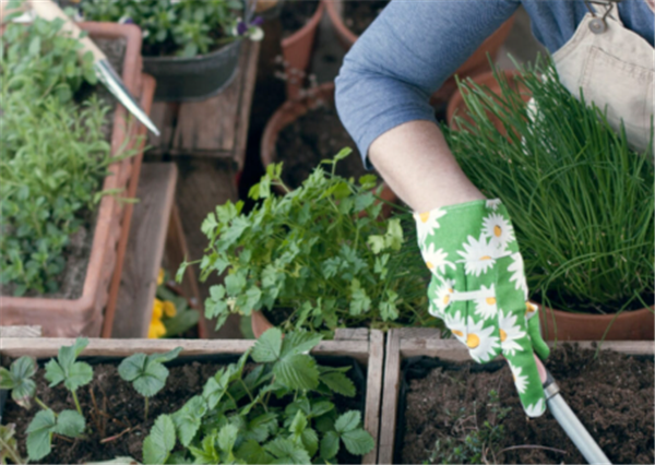 Velt I smullen van mijn balkon