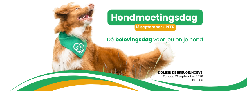 Hondmoetingsdag Peer 13 september 2026 