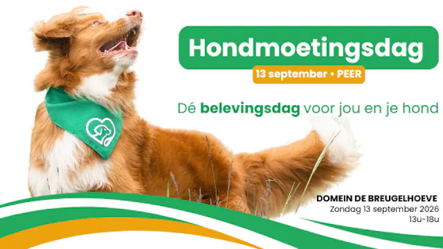 Hondmoetingsdag Peer 13 september 2026