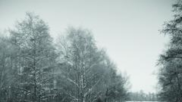Winterwandeling doorheen de Stiemerbeekvallei