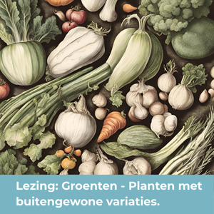 Groentenvariatie 