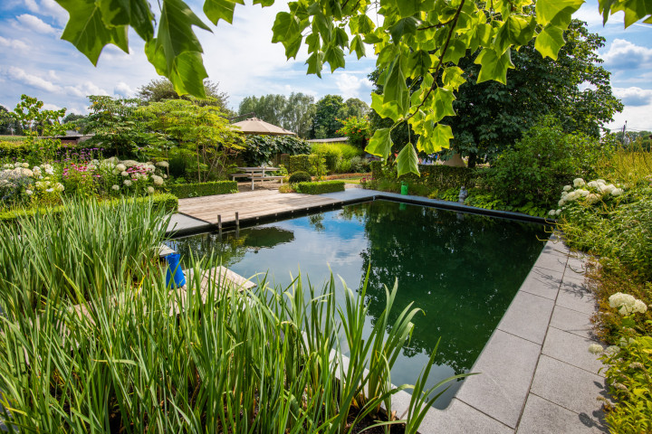 Till's Tuin