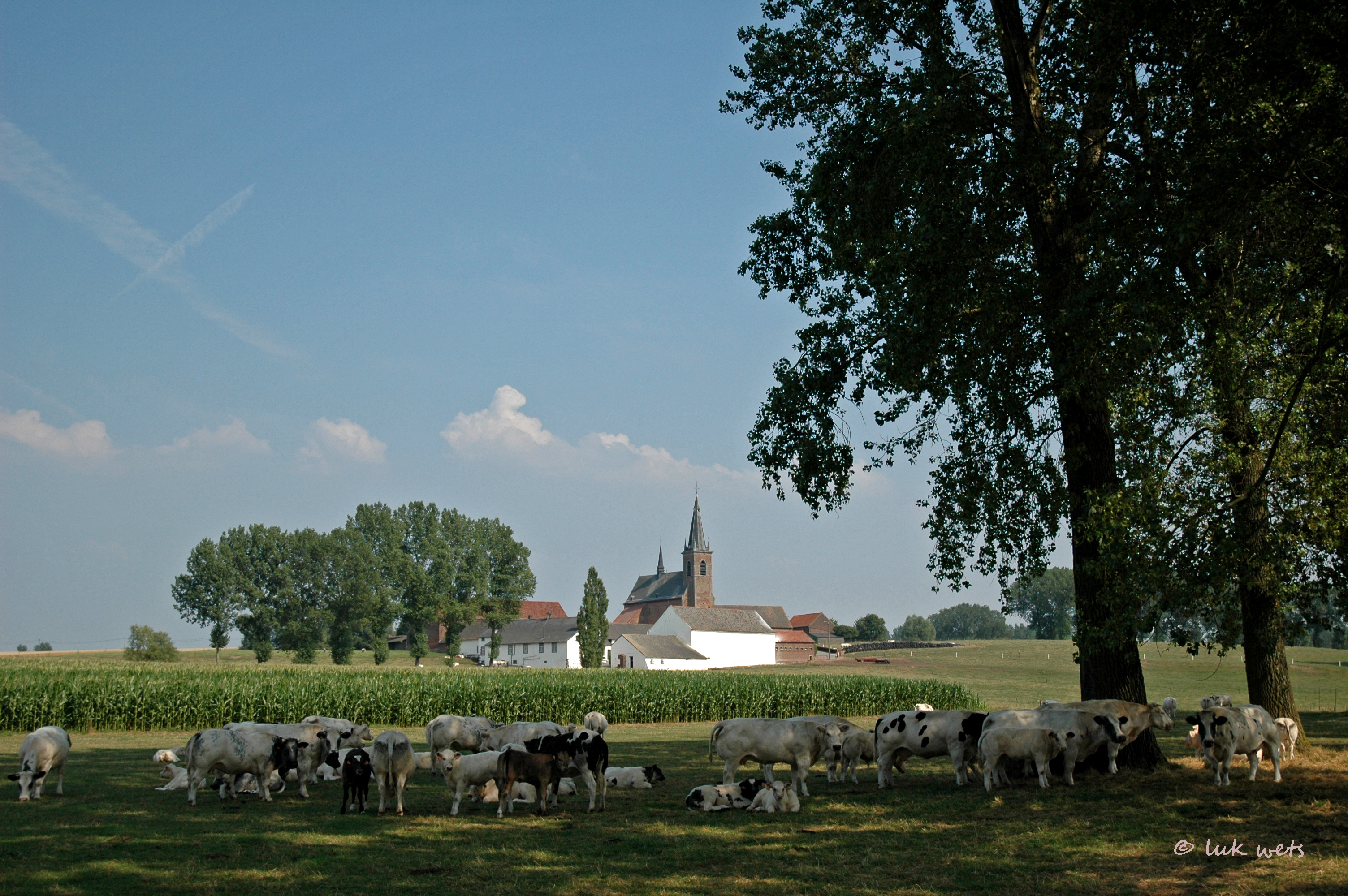 Hoeve en abdijkerk Cantimpré