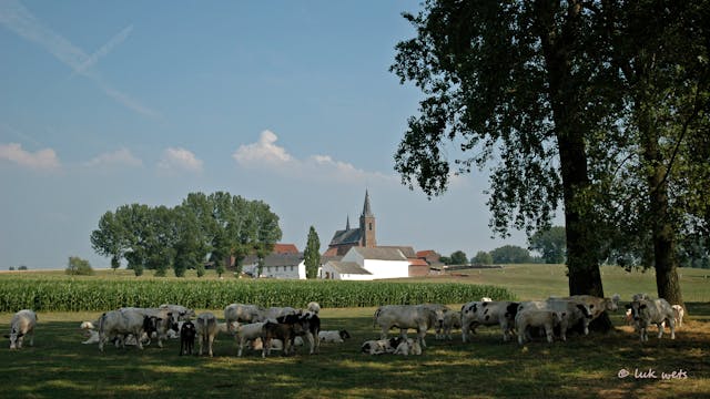 Hoeve en abdijkerk Cantimpré