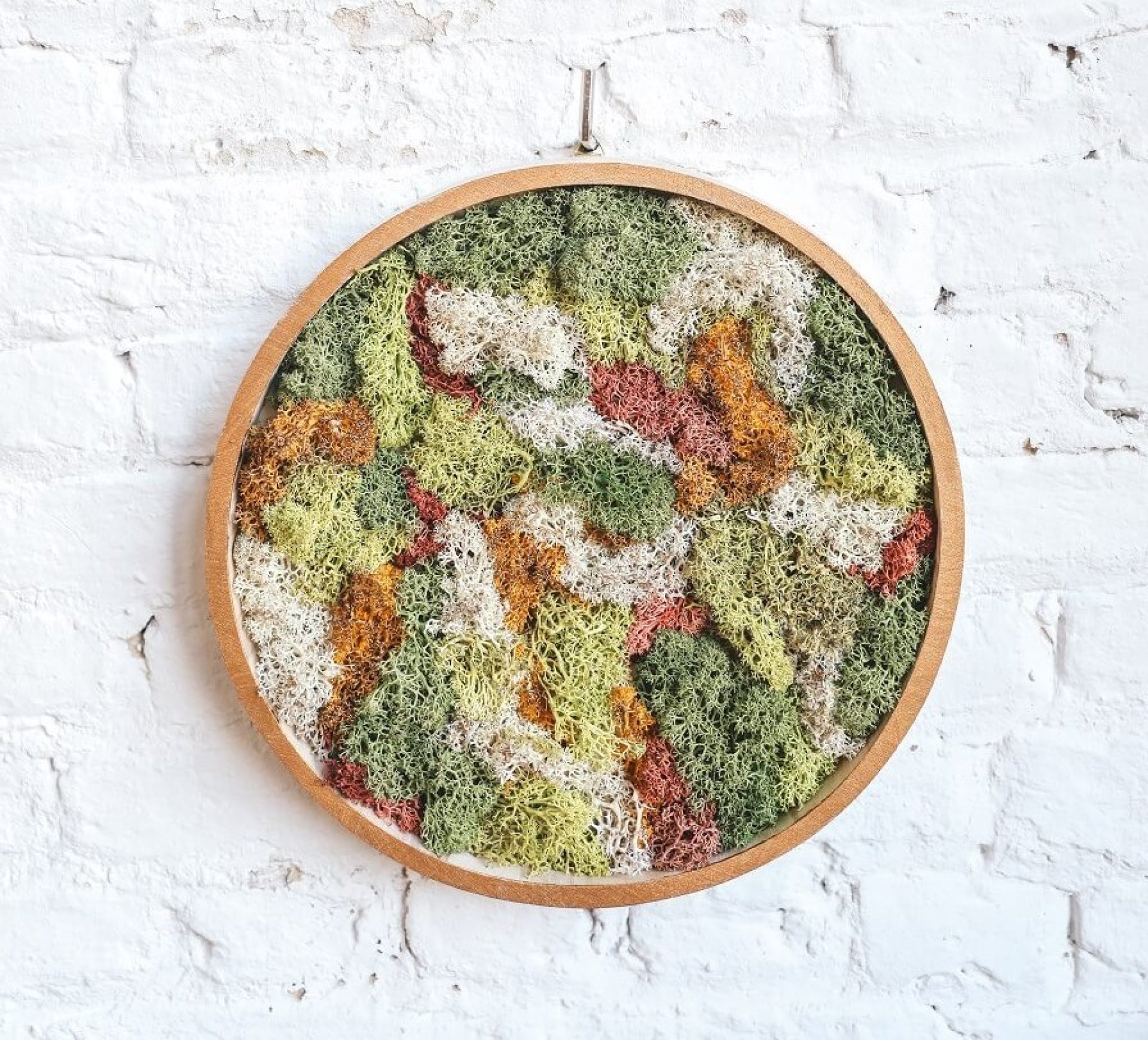 © Leen Van de Sande