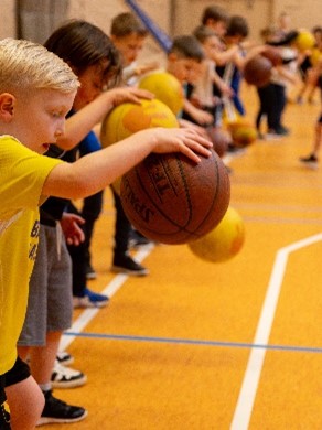 Basketbalkamp
