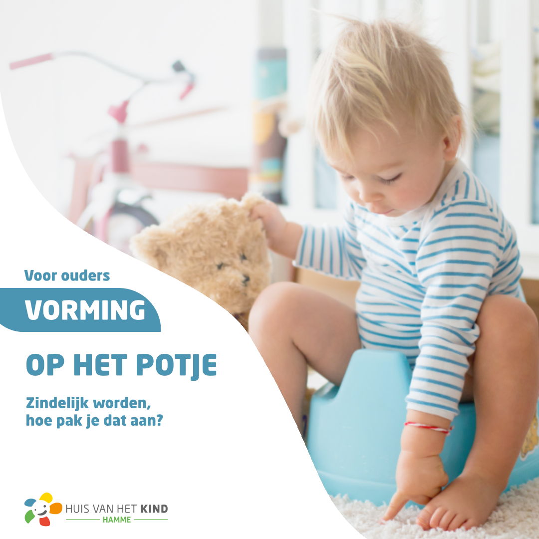 Vorming zindelijkheid