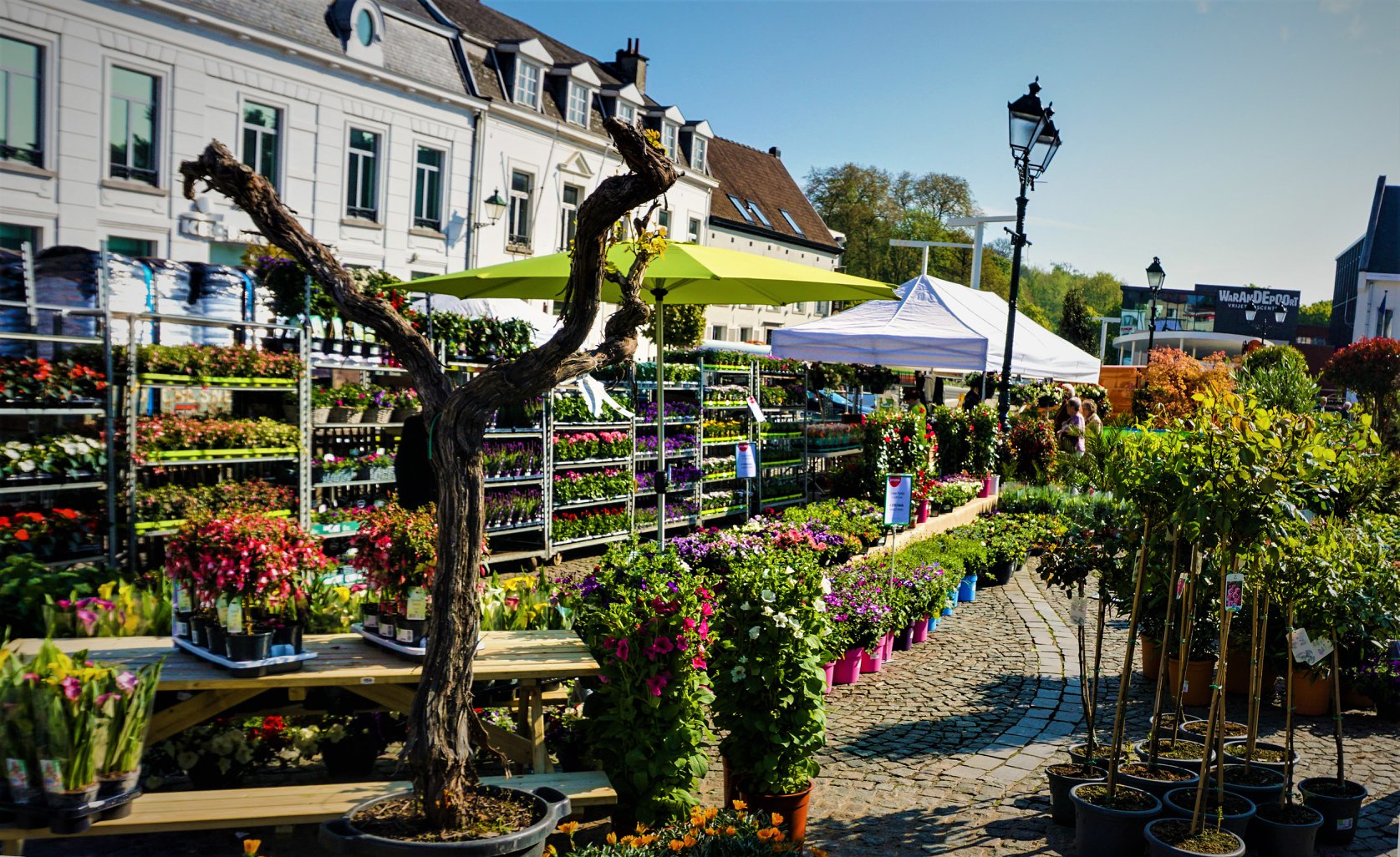Bloemenmakt Tervuren