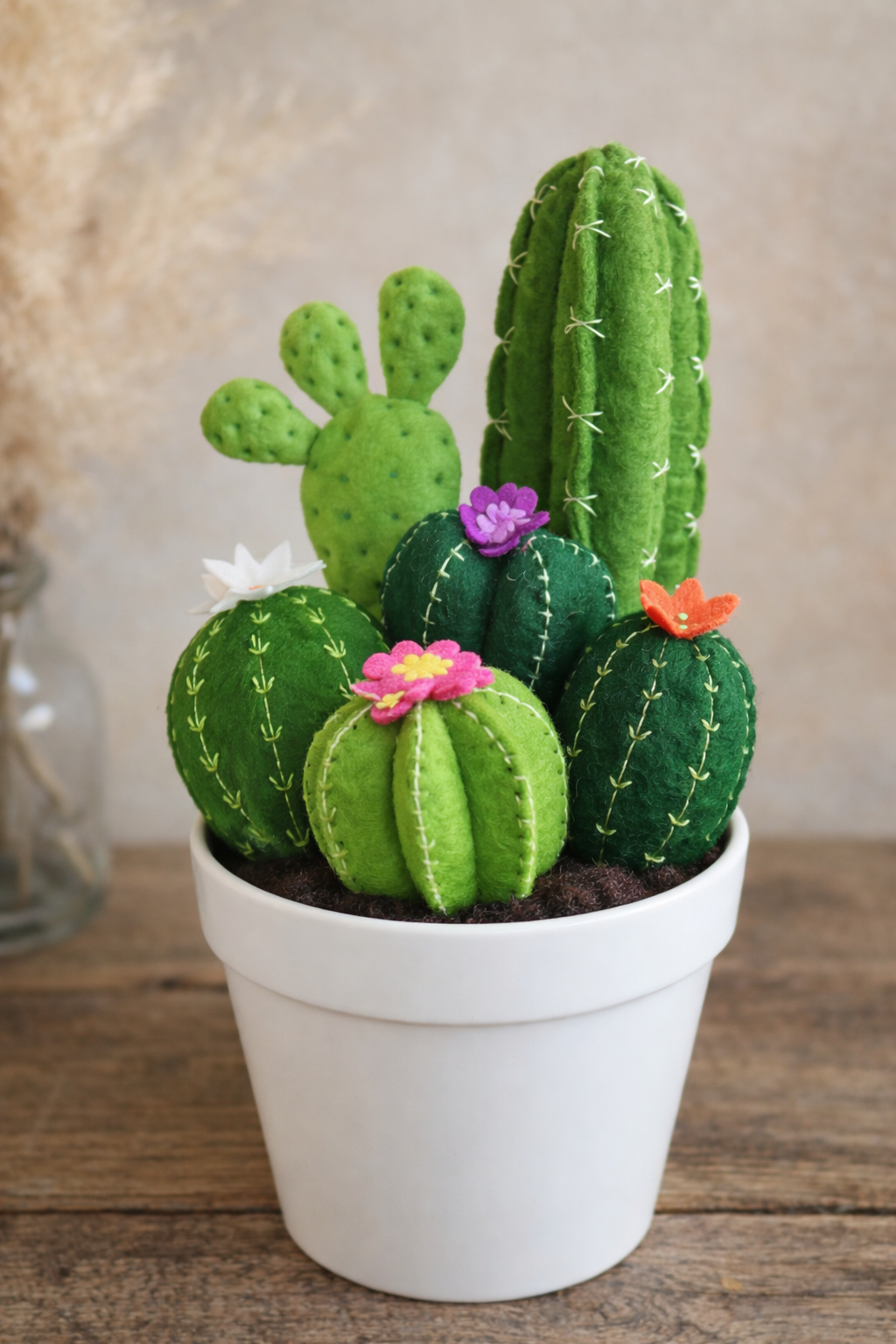 Zachte Cactussen Workshop