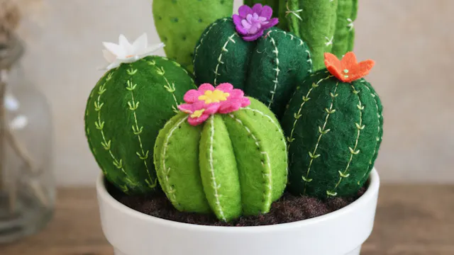 Zachte Cactussen Workshop