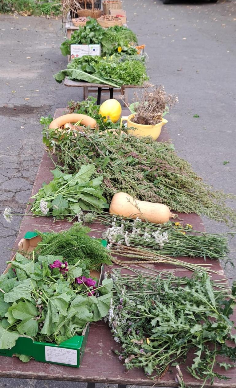 Natuurpunt