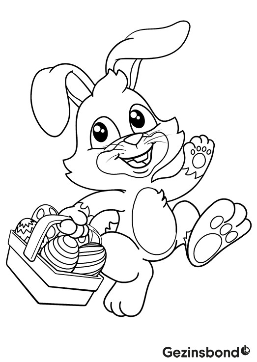 Image for gzbd activity