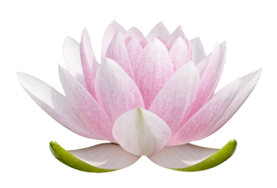 Image for gzbd activity