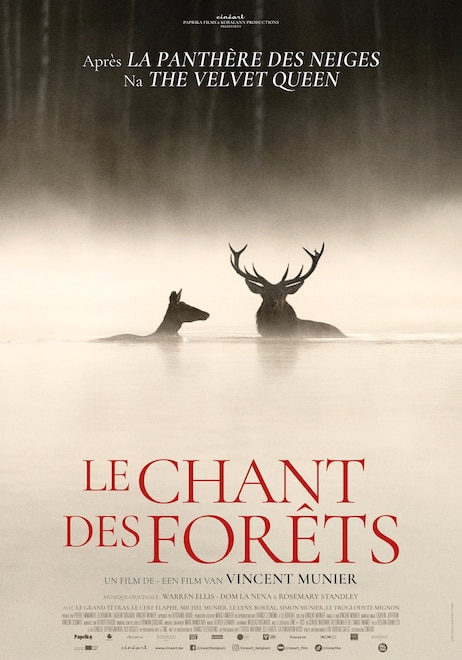 Le Chant des Forêts