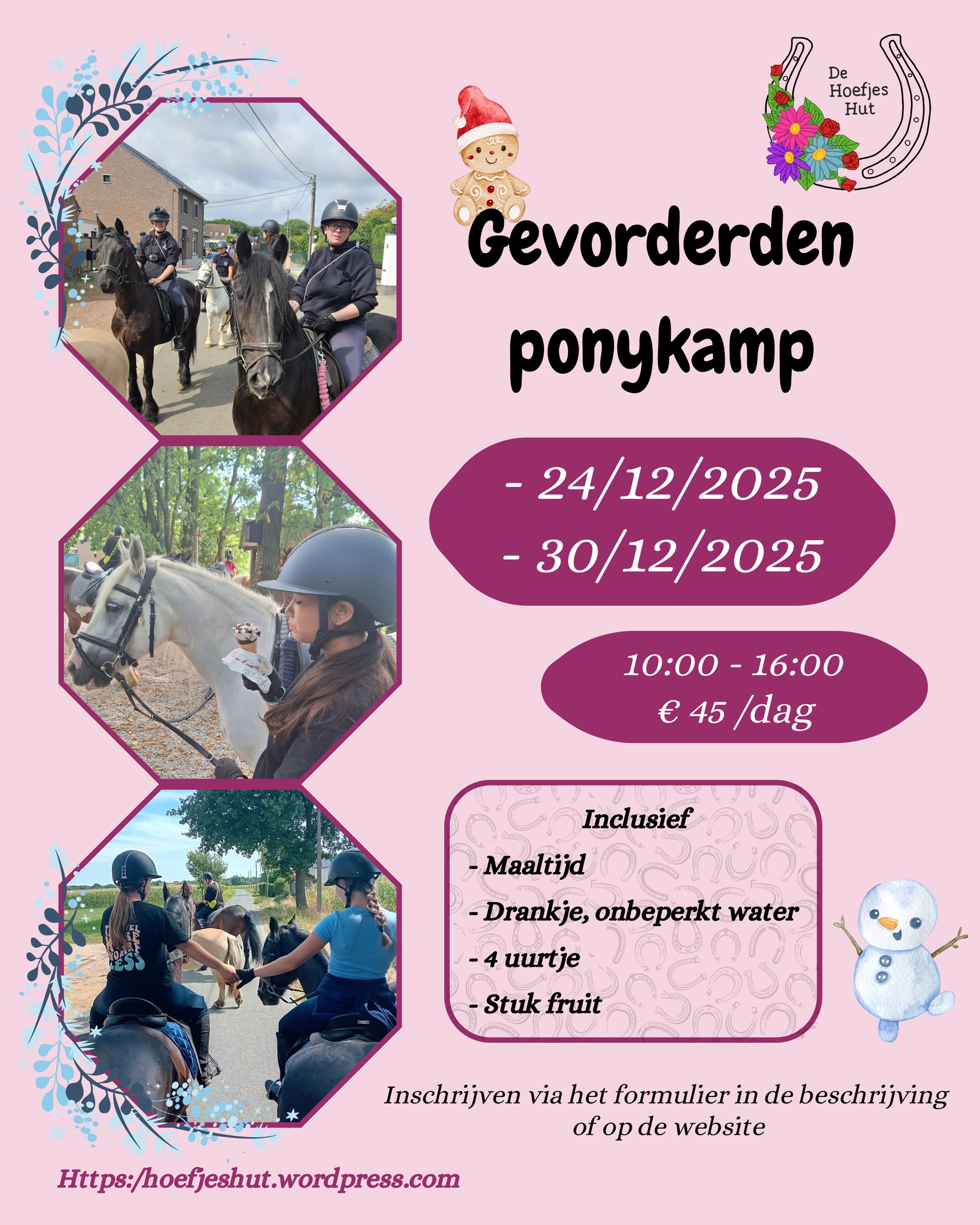 Winter Gevorderde Ponykampp