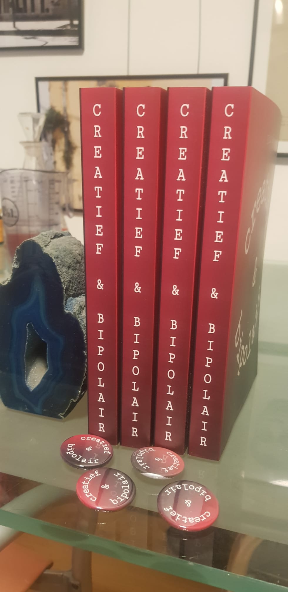 Boek Creatief en Bipolair