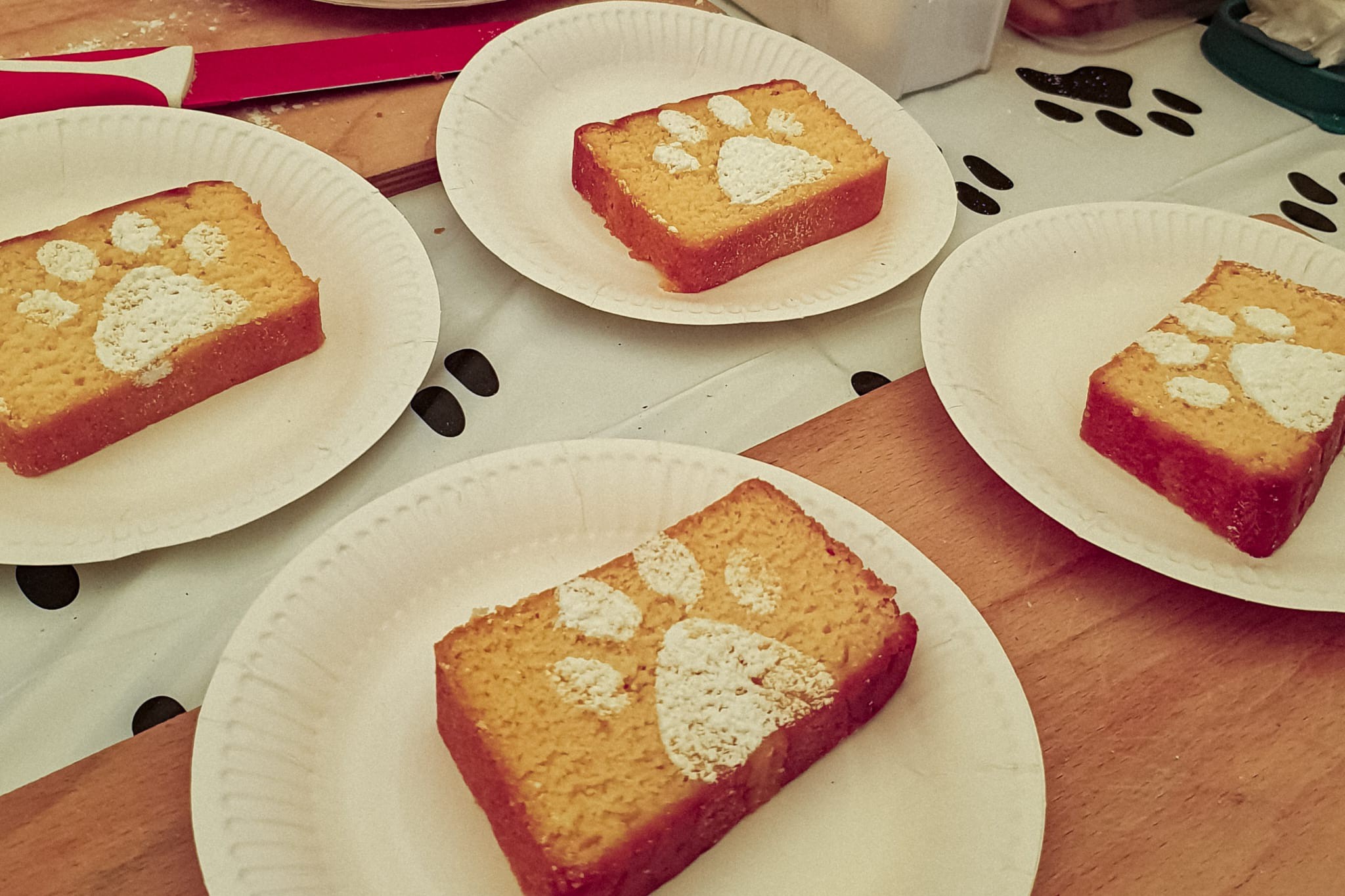 sneukelwandeling voor HOND en MENS